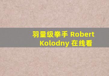 羽量级拳手 Robert Kolodny 在线看